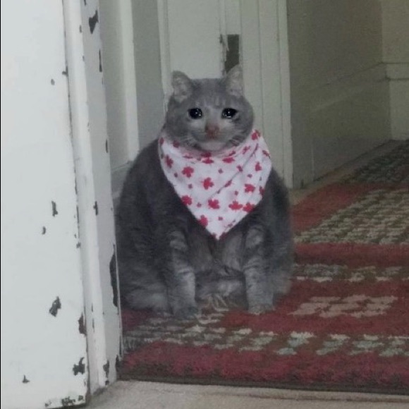 Meet your Posher, Kat - Picture 6 of 7